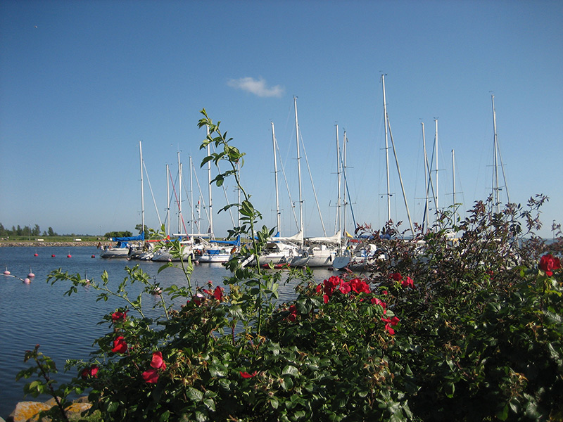 Kunst Lehramt auf Kurs