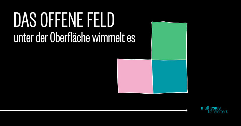 Offenes Feld - unter der Oberfläche wimmelt es