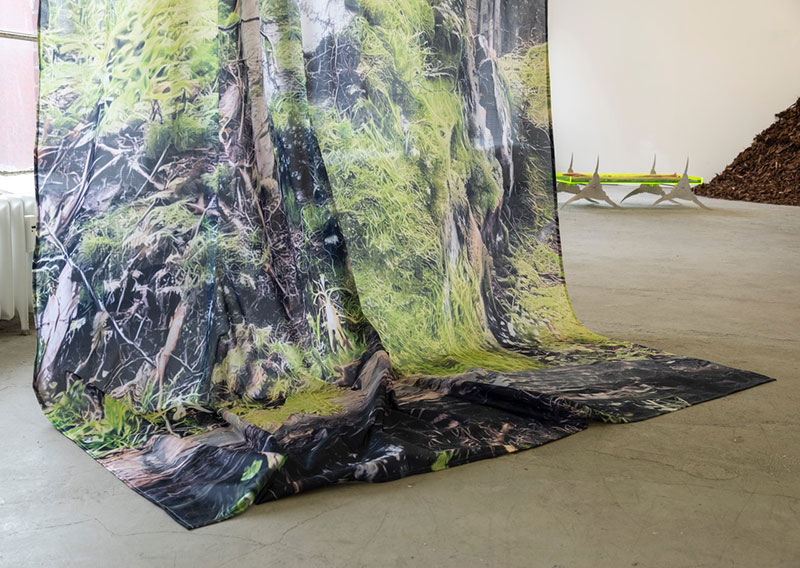 sp ce: Paula Oltmann - Phantastic Landscapes