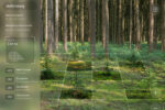 Zu sehen ist eine Computeransicht eines aufgeforsteten Waldes