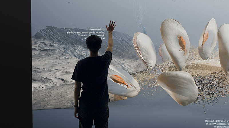 Ein interaktives Stranderlebnis mitten in Kiel