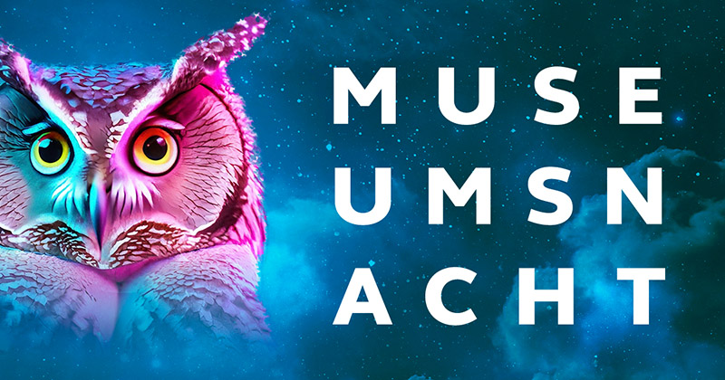 Zu sehen ist eine gezeichnete Eule in Pink-Violett-Tönen mit der Aufschrift "Museumsnacht".